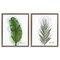Stupell Industries Modern Fruit Leaves 2pc Floating Frame Set By Matthew Piotrowicz